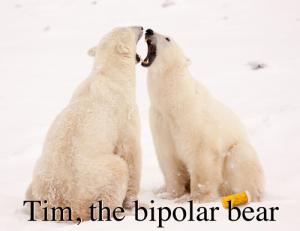 bipolar bear
